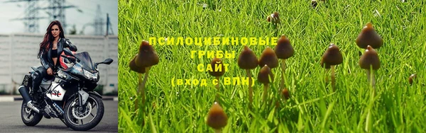 марки nbome Алексеевка